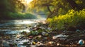 A polluted stream flowing through a wooded area, filled with visible garbage and debris Royalty Free Stock Photo