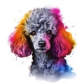 AI generated illustration of a poodle portrait in watercolor