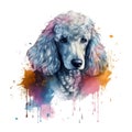 AI generated illustration of a poodle portrait in watercolor