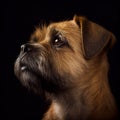 AI generated illustration of a portrait of a border terrier isolated on a black background