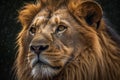 AI generated illustration of a portrait of a majestic lion