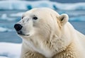 AI generated illustration of a portrait of a polar bear standing on an iceberg