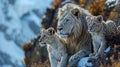 AI generated illustration of a pride of lions perched atop a rocky outcrop Royalty Free Stock Photo