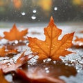 AI generated illustration of a red autumn leaf in a puddle Royalty Free Stock Photo