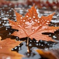 AI generated illustration of a red autumn leaf in a puddle Royalty Free Stock Photo