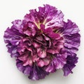 AI-generated illustration of red cabbage leaves on a white surface Royalty Free Stock Photo