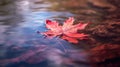 AI generated illustration of a red leaf floating in still water, creating a beautiful reflection Royalty Free Stock Photo