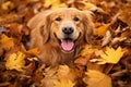 AI generated illustration of a retriever lying contentedly in a pile of autumn leaves
