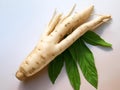 AI generated illustration of rooted white carrots on a tabletop