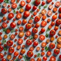 tomatoes are lined up in rows with basil on top of them Royalty Free Stock Photo
