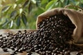AI generated illustration of a sack of freshly harvested coffee beans Royalty Free Stock Photo