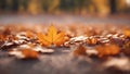 AI generated illustration of a scenic autumnal landscape of a gravel path with fallen autumn leaves