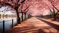 AI generated illustration of cherry trees in bloom along the shoreline, with the city skyline