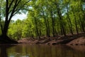 AI generated illustration of a scenic view of a river, with trees and rocks