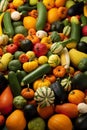 AI generated illustration of a selection of fresh, ripe pumpkins of various sizes and shapes