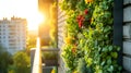 sun shines in the distance from a balcony garden in a building Royalty Free Stock Photo