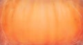 \'Close-Up of Orange Pumpkin SurfaceâSmooth Texture and Fibrous Details Royalty Free Stock Photo