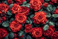 AI generated illustration of a shrub of red roses