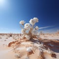 AI generated illustration of a shrub of roses in a dried desert on a sunny day