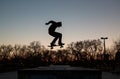 AI generated illustration of a skateboarder jumps over ramp at sunset Royalty Free Stock Photo