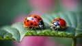 AI generated illustration of a small ladybug perched on a plant Royalty Free Stock Photo