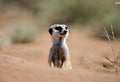 AI generated illustration of a small meerkat perched on sand dunes
