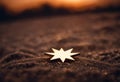 AI generated illustration of a small silver star on a sandy beach at sunset Royalty Free Stock Photo