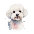 AI generated illustration of a small white dog with big brown eyes and ears Royalty Free Stock Photo