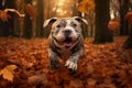 AI generated illustration of a smiling bulldog running in an autumn forest Royalty Free Stock Photo