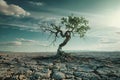 AI generated illustration of a solitary tree standing in a parched meadow Royalty Free Stock Photo