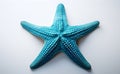 sea star known as linckia laevigata, also referred to as the "blue linckia" or blue star Royalty Free Stock Photo