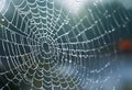 AI generated illustration of a spider web with glistening dew drops along its intricate surface