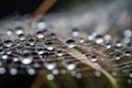 AI generated illustration of a spiderweb with reflecting water drops