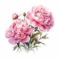 AI-generated illustration of a stunning visual contrast of pink flowers against a white background