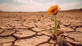 AI generated illustration of A sunflower stands against a backdrop of dry, cracked earth Royalty Free Stock Photo