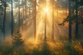 AI generated illustration of sunlight filtering through tall pine trees in a stunning forest scene