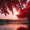 the sun rises over a lake and trees in fall with red leaves Royalty Free Stock Photo