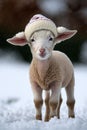 AI generated illustration of a sweet lamb wearing a knitted hat standing in a snow-filled landscape