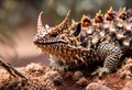 AI-generated illustration of a Thorny Devil lizard sitting on rocks Royalty Free Stock Photo
