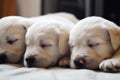 AI-generated illustration of three cute Labrador Retriever puppies sleeping peacefully on a blanket.