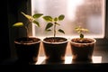 AI generated illustration of three potted plants on a window sill with a sunlightlight backdrop Royalty Free Stock Photo