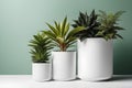 three different sized plants in white pots against a green background