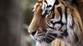 AI generated illustration of a tiger peering curiously through a windowpane