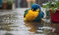 AI generated illustration of a tiny bird in the rain near a pot plant, accidents happen