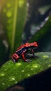 AI generated illustration of a tiny red poison dart frog sitting on a leaf in the rain Royalty Free Stock Photo