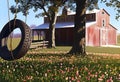 AI-generated illustration of a tire swing hanging on a tree near a rustic barn Royalty Free Stock Photo