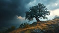 AI generated illustration of a tree atop a grassy hill with a distant storm cloud rolling in Royalty Free Stock Photo