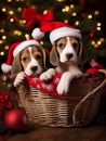 two beagles are laying in a basket on a table