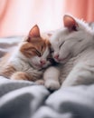 AI generated illustration of two domestic cats snuggling together on a bed Royalty Free Stock Photo