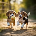 AI generated illustration of two happy puppies running on a dirt road, playing with a colorful ball